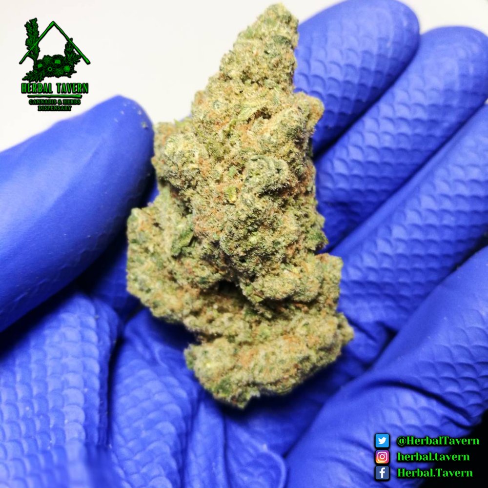 Herbal Tavern - Cannabis & Herbs Dispensary tweet media