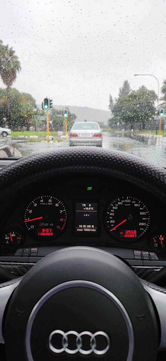 This car, in this weather, is simply incredible. 🦎 #Quattro #B7RS4