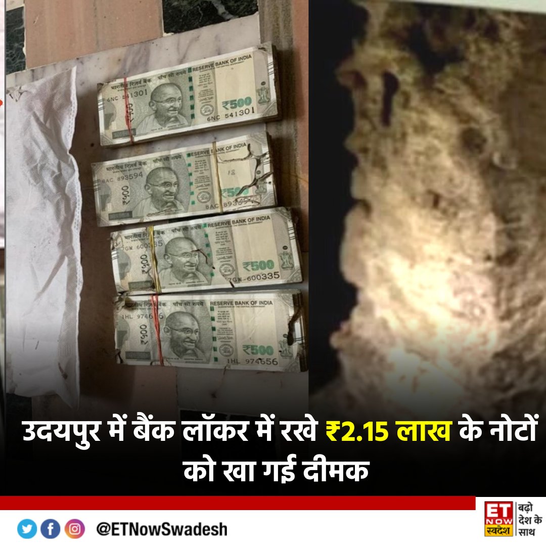 ETNowSwadesh's tweet photo. उदयपुर में पंजाब नेशनल बैंक (PNB) के लॉकर में दीमक लगने से 2.15 लाख रुपये के नोट नष्ट हो गए.

#PunjabNationalBank #Termites #Bank #BankLocker https://t.co/8VmdzP8QDw