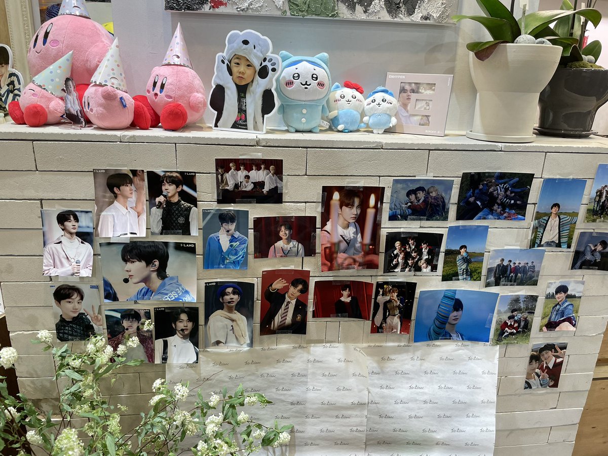 hoonielover1208's tweet photo. 📍플로블랑 신용산점

입구부터 정원이 사진으로 가득하고 들어가는 순간 너무 귀여운 인형들과 이벤트에 또 한번 심쿵한 꽃집.. 한번만 가기 아까웠던.. 망고튤립도 정원이랑 어울리는 꽃이라서 더 예뻤던..🫶🏻🫶🏻

#양정원돌잔치 #양정원스무돌 
#제가스무살이래여의 https://t.co/WhKm6XC7eF