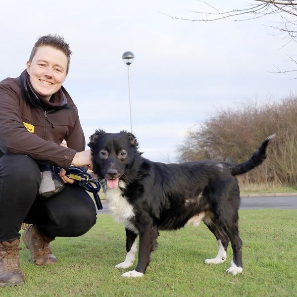 paul-hardacre-on-twitter-rt-adoptionsuk-please-retweet-to-help-kai