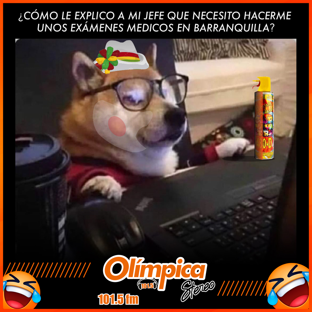 ¿Cómo le explico a mi jefe que necesito hacerme unos exámenes médicos en barraquilla?

#carnaval #carnavaldebarranquilla #carnavales #barranquilla #quienloviveesquienlogoza #memecarnavalero #memescarnaval