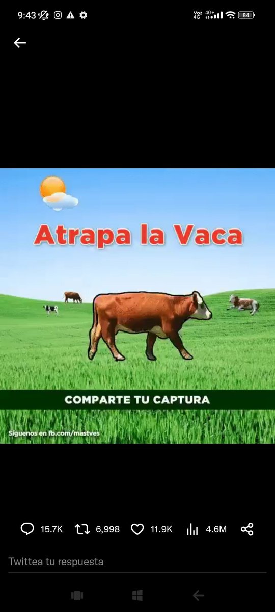 MarioFernndezF5's tweet photo. @momentoviral A la primera, ahora directo a prender la parrilla 😛 https://t.co/kuWMJpdE3U