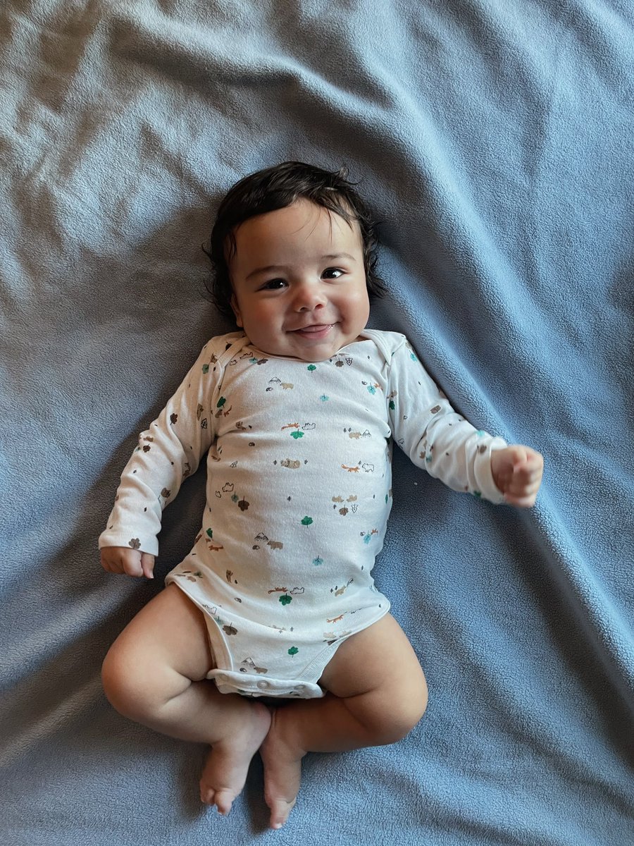 madsguarneri's tweet photo. baby bear 🤎 https://t.co/TSzRLZJLaF