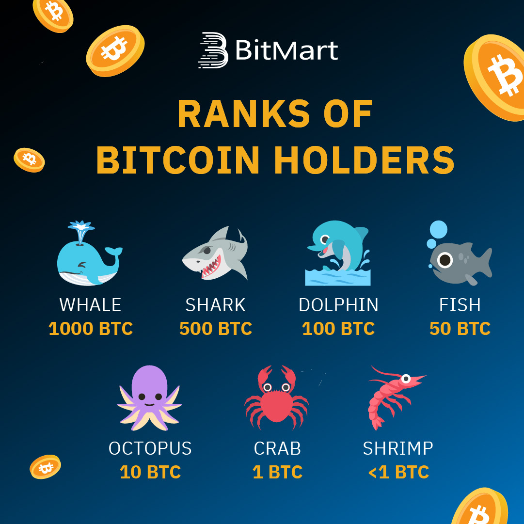 Check out what kind of #Bitcoin holder you are 🐳🦈🐬🐟🐙🦀️🦐 $BTC #crypto  #cryptocurrencies