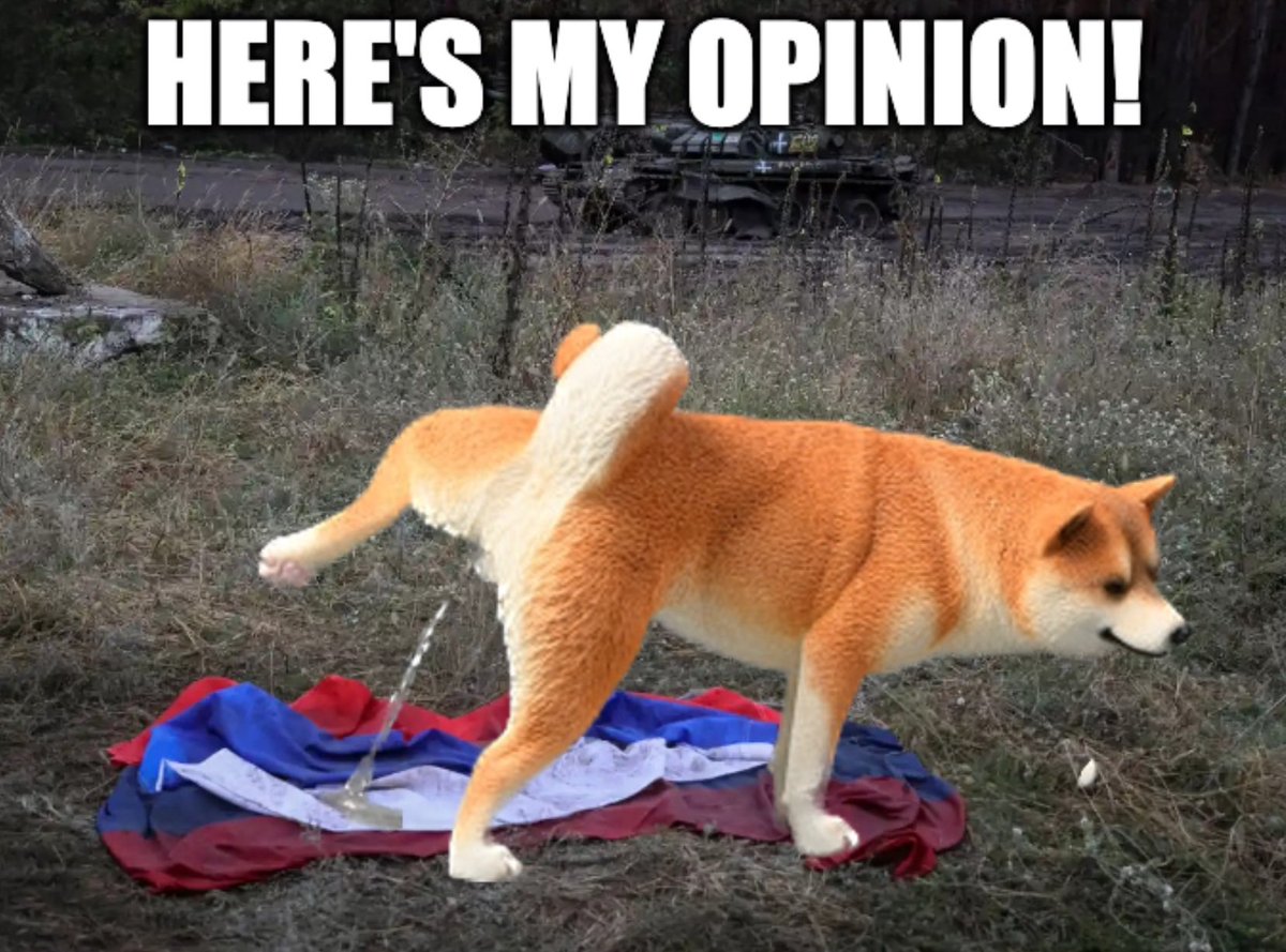 I’d appreciate a retweet to help spread!

I’m making a pinned tweet of memes I’ve made - I hope you enjoy and find some that will be useful or amusing! 

I’ll try to put the more useful/timely ones at top. I’m trying for one new meme/day until I run out of ideas! 💡