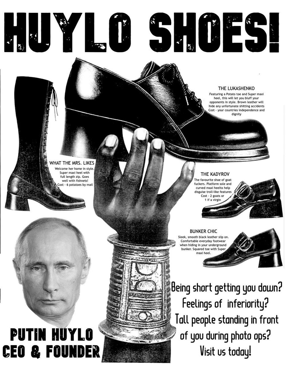 Future Cat Lady tweet media