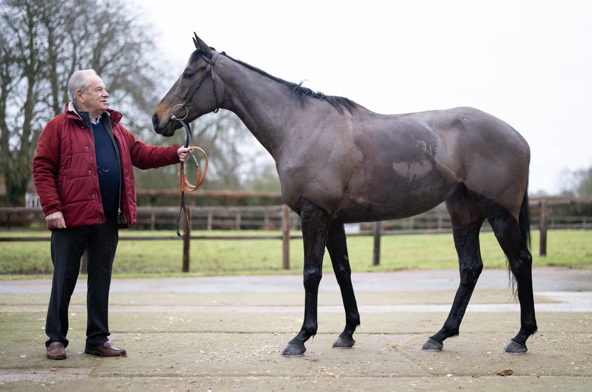 RacingPost's tweet photo. WHAT A BEAST 😍

Michael Buckley with Constitution Hill this morning ⚪️⚫️ https://t.co/BtjDBQYAAB
