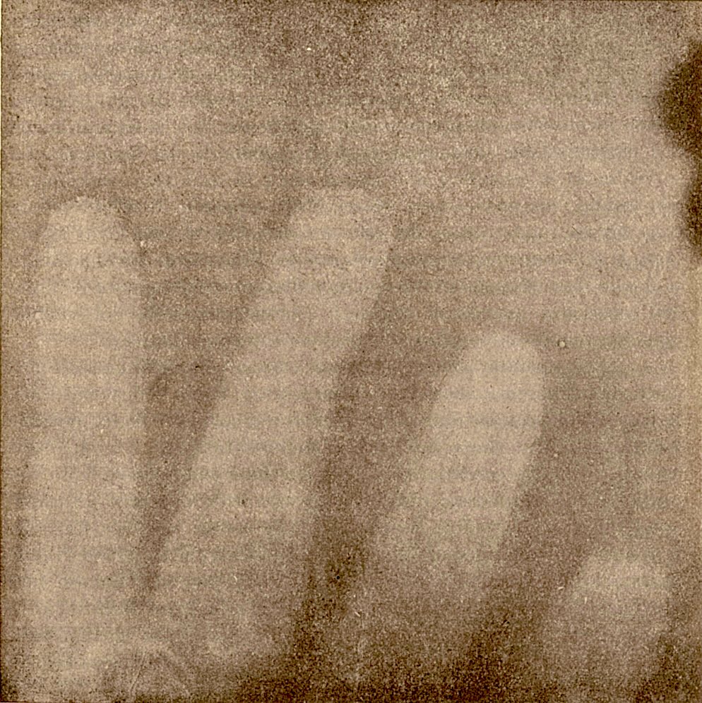 nicleonardi's tweet image. Join me @khiflorenz or online on February 14th at 11 am CET for a seminar on #spiritualism and #cameralessphotography khi.fi.it/de/aktuelles/v… to reserve a spot please write to Julia.biel@khi.fi.it to participate online please register at this link zoom.us/meeting/regist…