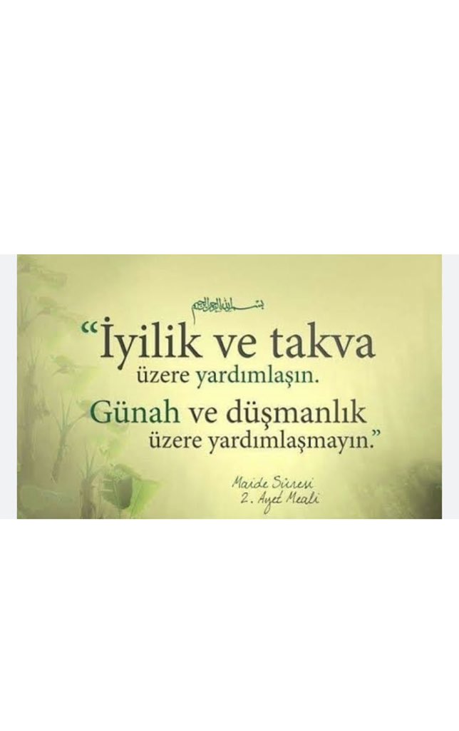 YildizzTilbee's tweet photo. https://t.co/uoJlygCuDH