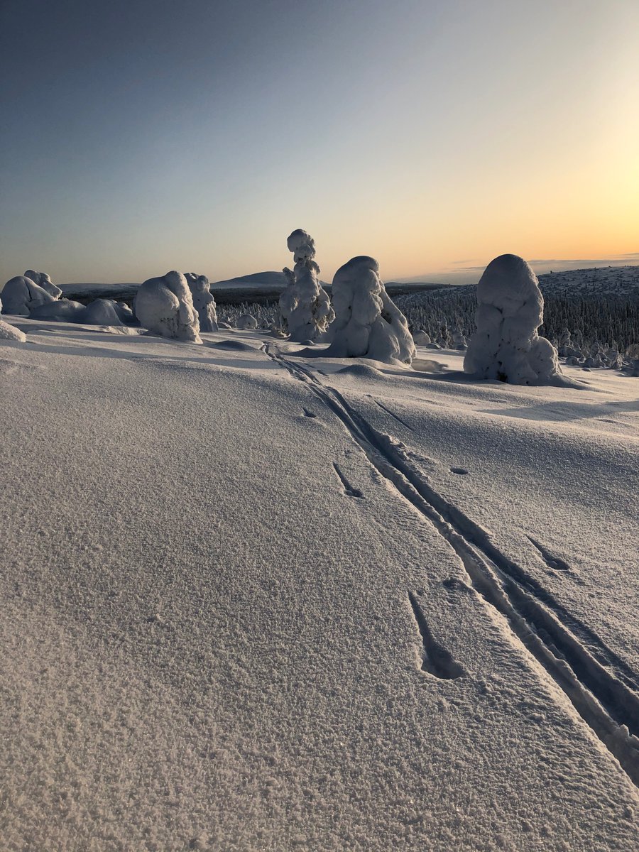 Nyt on Itäkairassa harvinainen pesti haussa! Anna panoksesi huippututkimukseen Suomen kenties syrjäisimmällä työpaikalla. Hakusessa on laboratorioinsinööri, tai -teknikko täydentämään pientä, mutta reipasta porukkaamme.