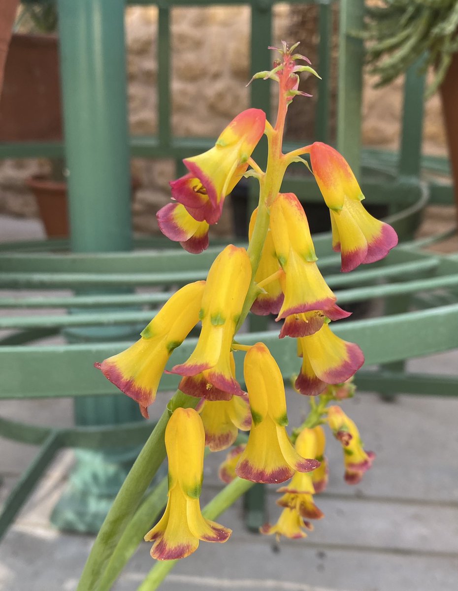 Alan E Down tweet media