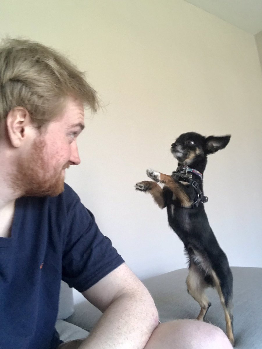 Ellipses tweet media