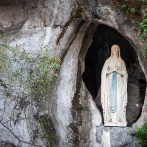 #EvangelioDelDia (Jn 2, 1-11) 
“Y, como faltó vino, la madre de Jesús le dijo «No tienen vino»”. «Mira cómo pide a su Hijo, en Caná. Y cómo insiste, sin desanimarse, con perseverancia. —Y cómo logra. —Aprende» opusdei.org/es-es/gospel/2…