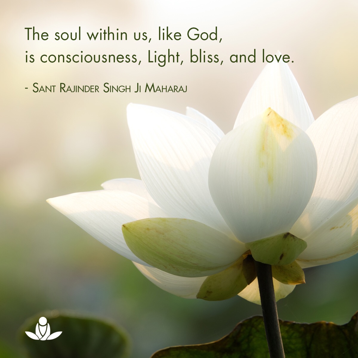 SOS Meditate tweet media