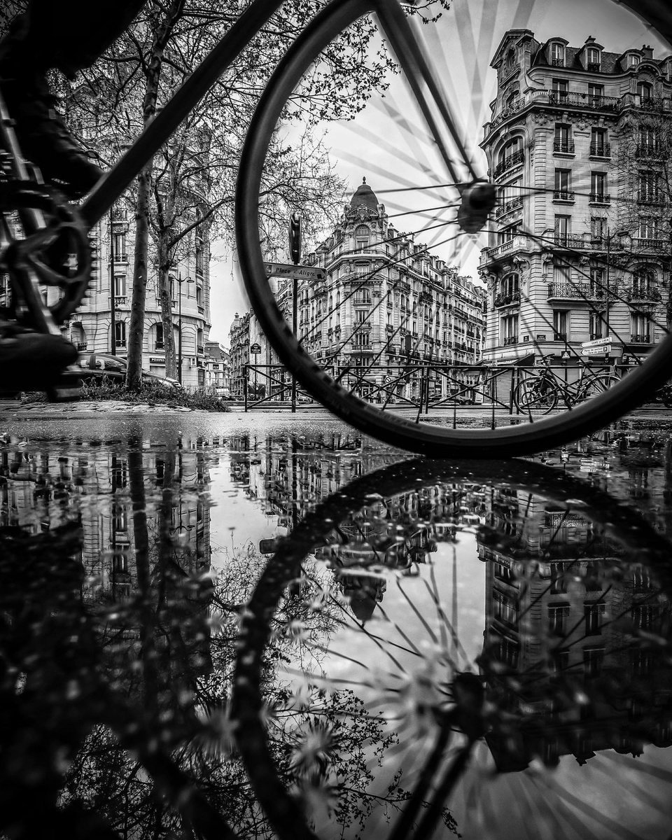 Soy_Luchick's tweet photo. Trough the wheel

📷Patrick Clark https://t.co/IjMxcHrbc8