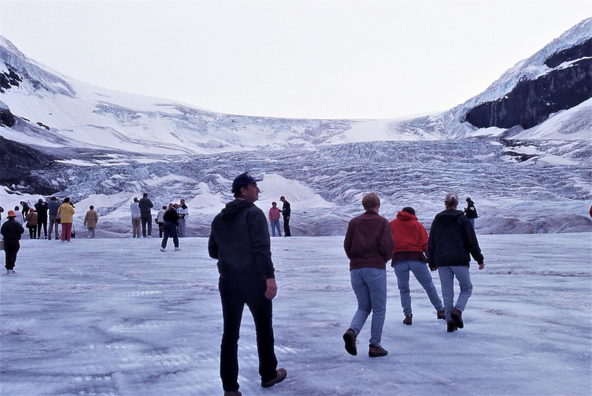 風の谷のドナドナ on Twitter