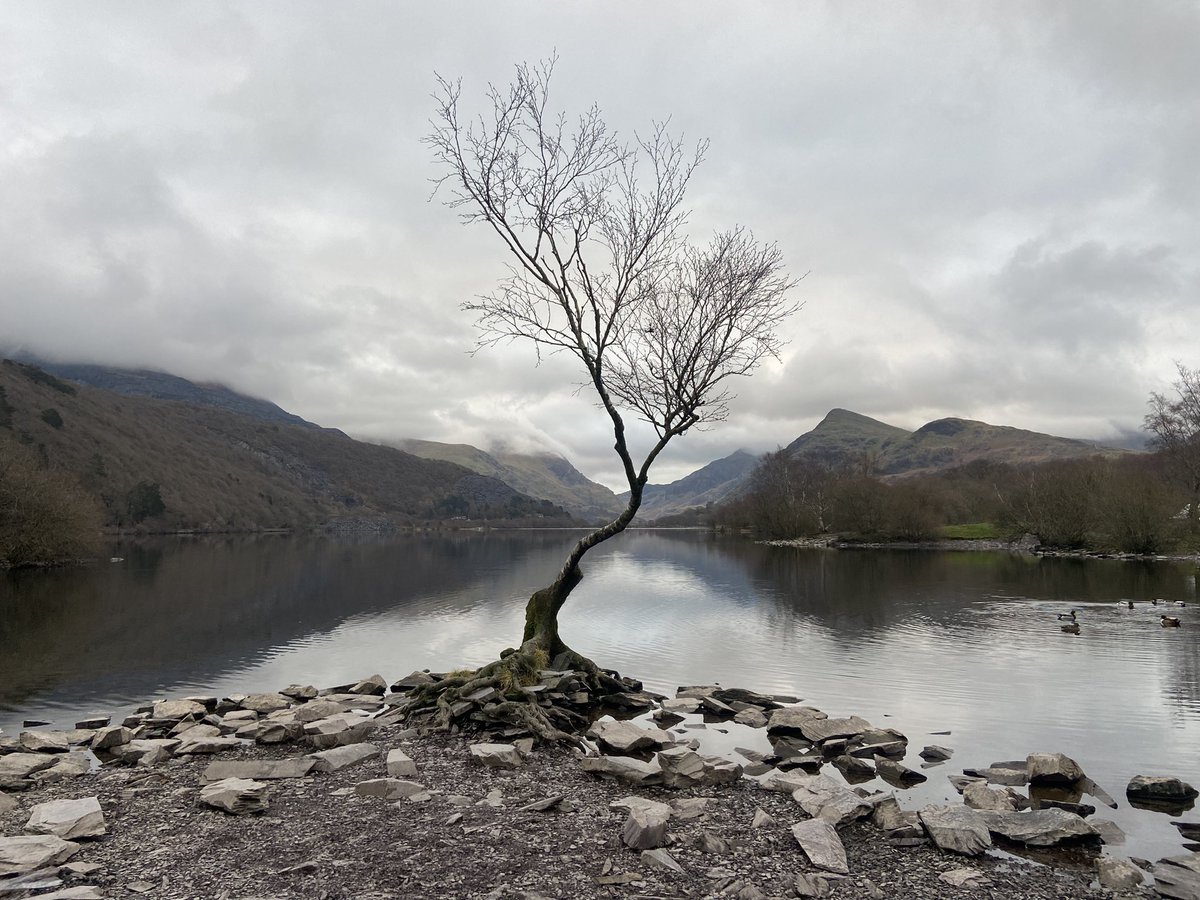 fionacreynolds's tweet photo. Beautiful Snowdonia https://t.co/FRNCWmjUVh