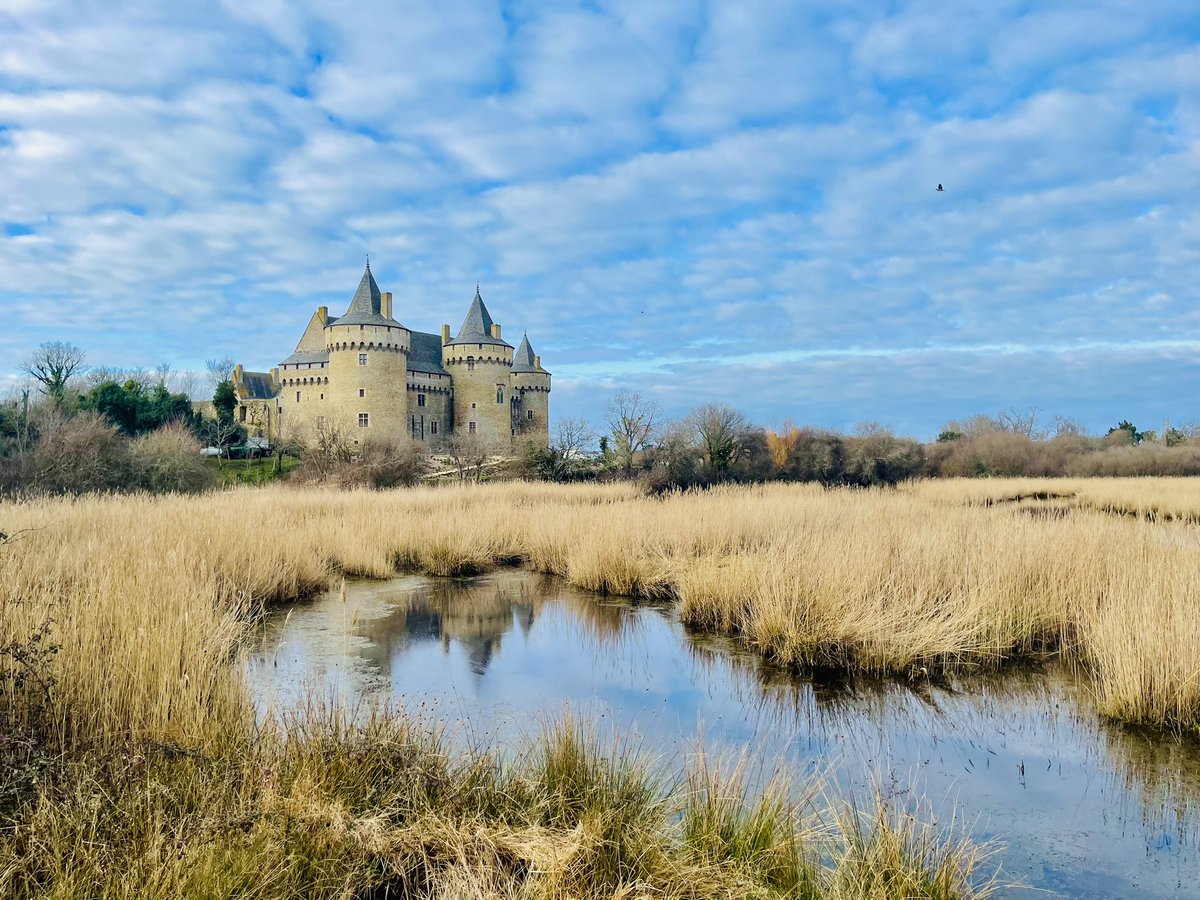 Wendy ⚓️ Bretagne ✨ tweet media