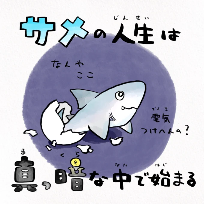おはスタでさかなのオモロい生態を四コマ解説したいな〜☀️子どもたちがさかな好きになれば未来の海も綺麗になる🐟@ohast_jp 