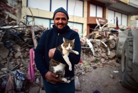Kahramanmaraş’ta bir kedi, depremin 110'uncu saatinde yıkılan binanın enkazından canlı çıkartıldı.