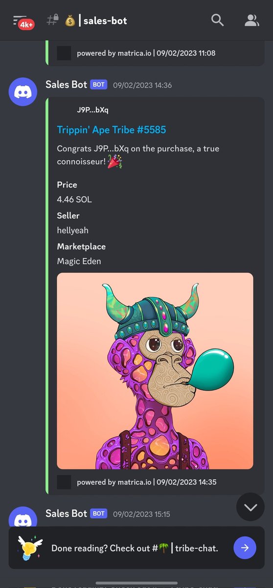 he11yeahh's tweet image. 3 months ago I bought this TAT for 7.76 sol and instantly staked it for 3 months and after waiting for 3 months I sold it for 4.46 Sol🙃. I was very disappointed and decided to gamble all of money . I brought that TAT with all money I had and 90 dollars was all I was left with .