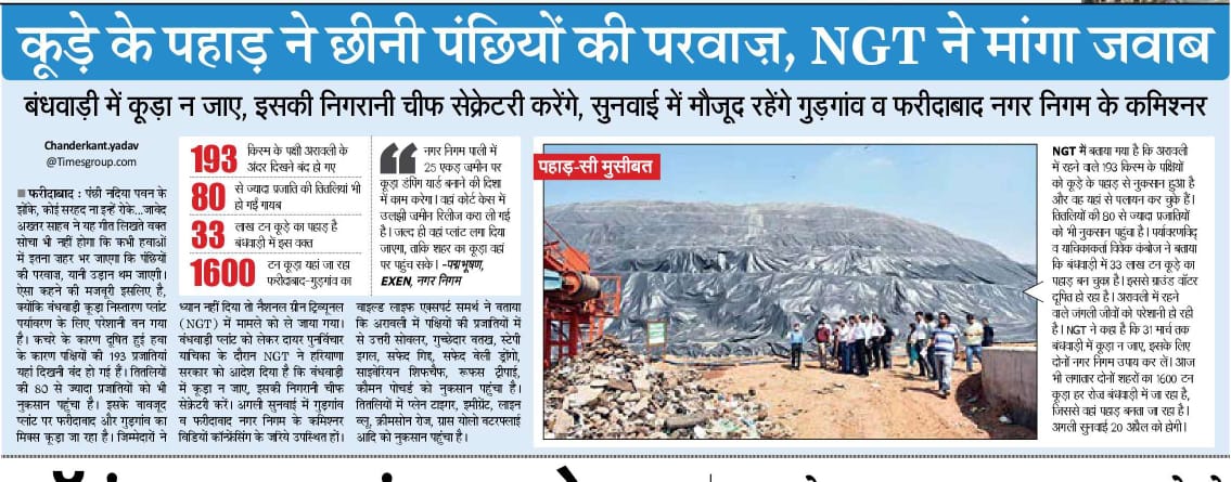 bhadana's tweet photo. एकमात्र अरावली जंगल को बर्बाद करने की गंदीनीति बना रहा है @MCF_Faridabad 

कुछ भी कर लो, अरावली को कचराघर हर हाल में नहीं बनने देंगे।

#NoGarbageInAravali @moefcc https://t.co/zm3uYlFtSc