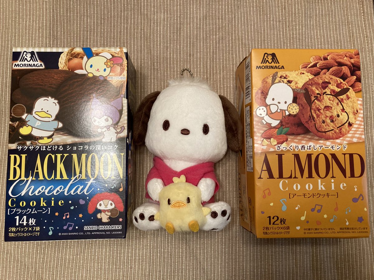 まるるん (@marurun527) / Posts / X