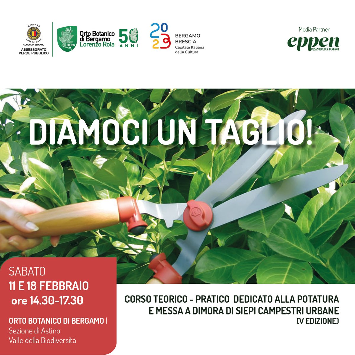 ortobotanicoBG's tweet photo. H. 14.30 #valledellabiodiversità per conoscere le #siepi campestri, partecipazione gratuita.
https://t.co/xL10cTfMEz
#corsi https://t.co/axW740Ss3P