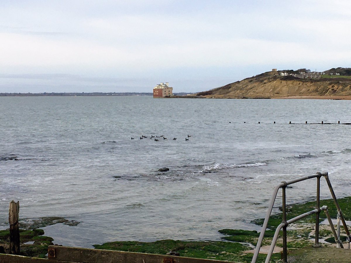wightowl's tweet photo. Some late afternoon views of Colwell Bay. #colwellbay #isleofwight https://t.co/eQJicvnM78