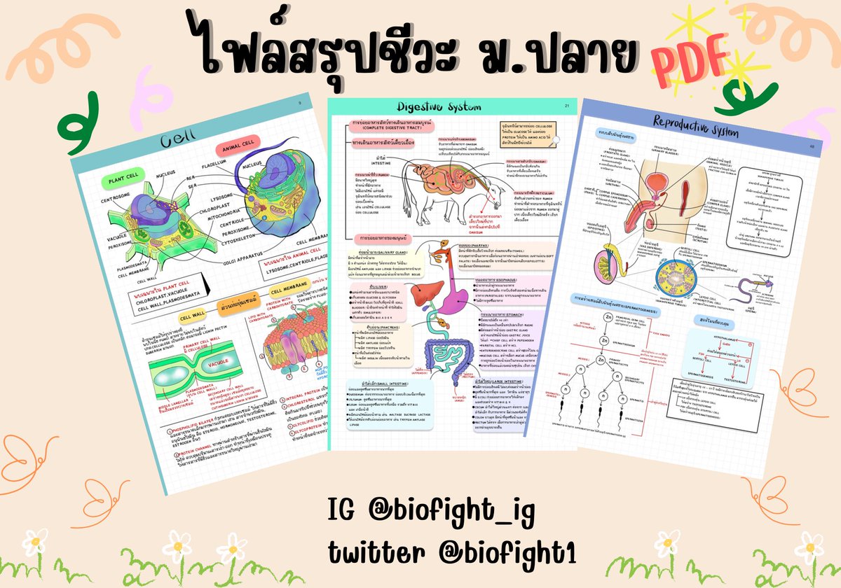 Biofight tweet media