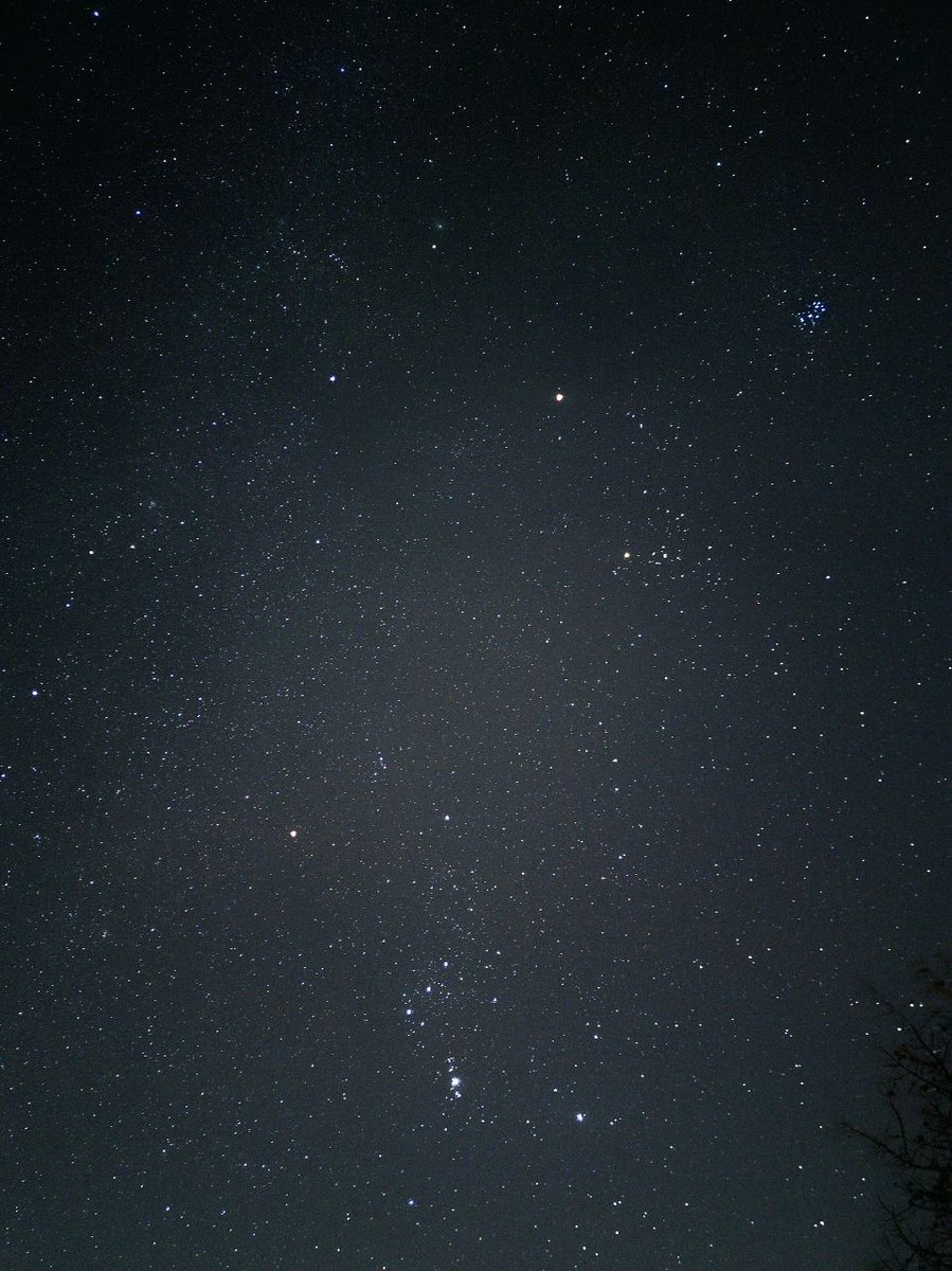 smartphone_astr's tweet photo. Psuntini's edit of a photo posted a couple of days ago by Valentina aka Pizzah GAR. #CometZTF is about on the line running through Mars and Aldebaran, top. #lightroom #mobilephotography #astronomy #Nightsky #smartphone_astrophotography #Astrophotography #cometE3 #Mars #pleiads https://t.co/Z1ZOqDWUXR