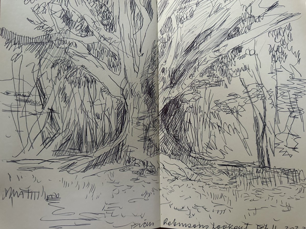 ChrisPorterArt's tweet photo. First day of this term’s “Step Away” drawing program for parents and children - simple #pleinair drawing, away from screens in real life. Robinson’s Lookout in #Lismore, on a hot afternoon, today was so peaceful and cool. https://t.co/N6XjOCfmiP