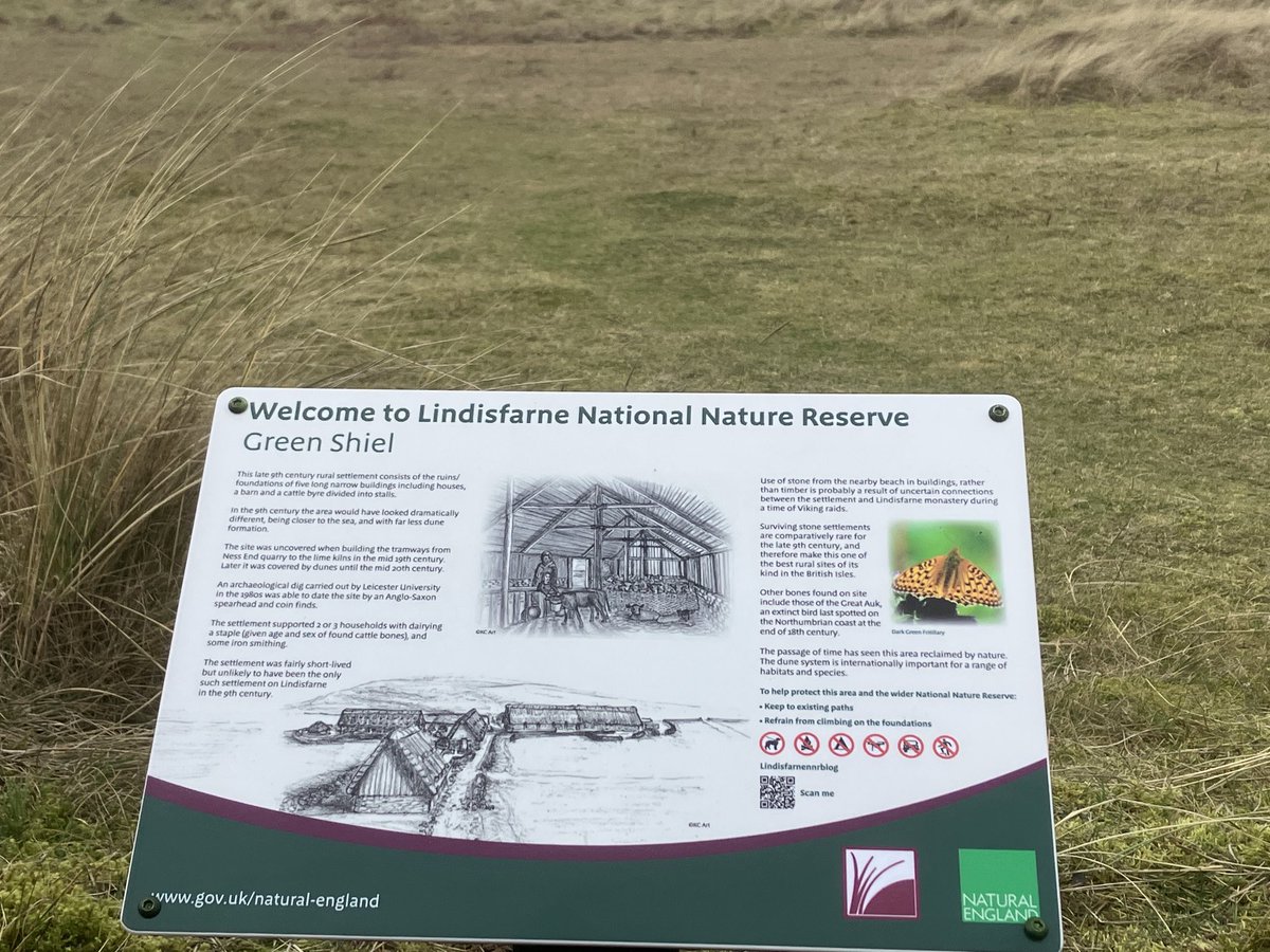 Lindisfarne NNR tweet media