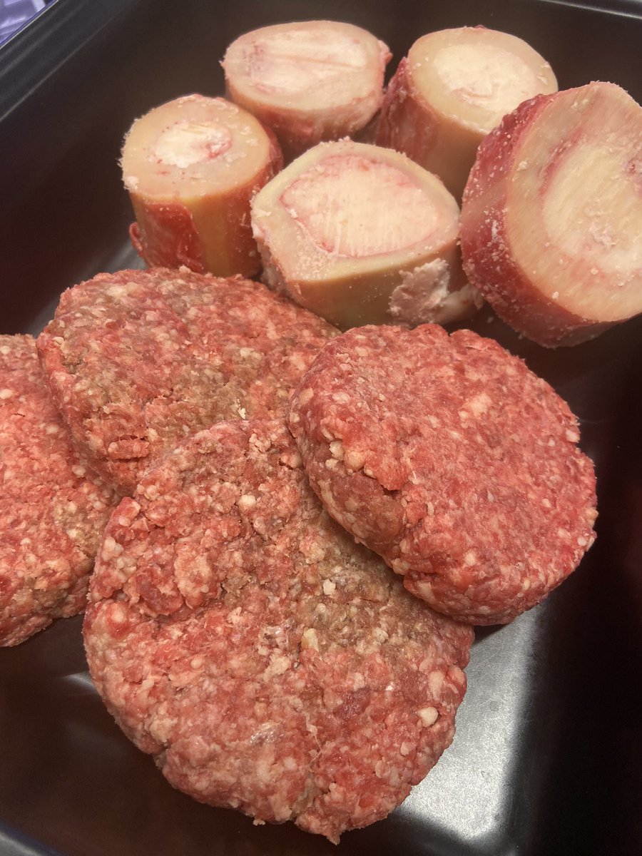 Burgerit nextille levelille! Meidän 20% burgerijauhikseen laitettiin 10% luuydintä 🥩🦴 Näitä kun vielä paistaa meidän kirkastetussa naudan talissa (Tallow) niin tulee aika 👌🏻#tiedämitäsyöt #carnivore #burger #marrow #luuydin #tallow #tali #liha #meat #meatlover <a href="/TeemuSel8nne/">Teemu Selanne</a>