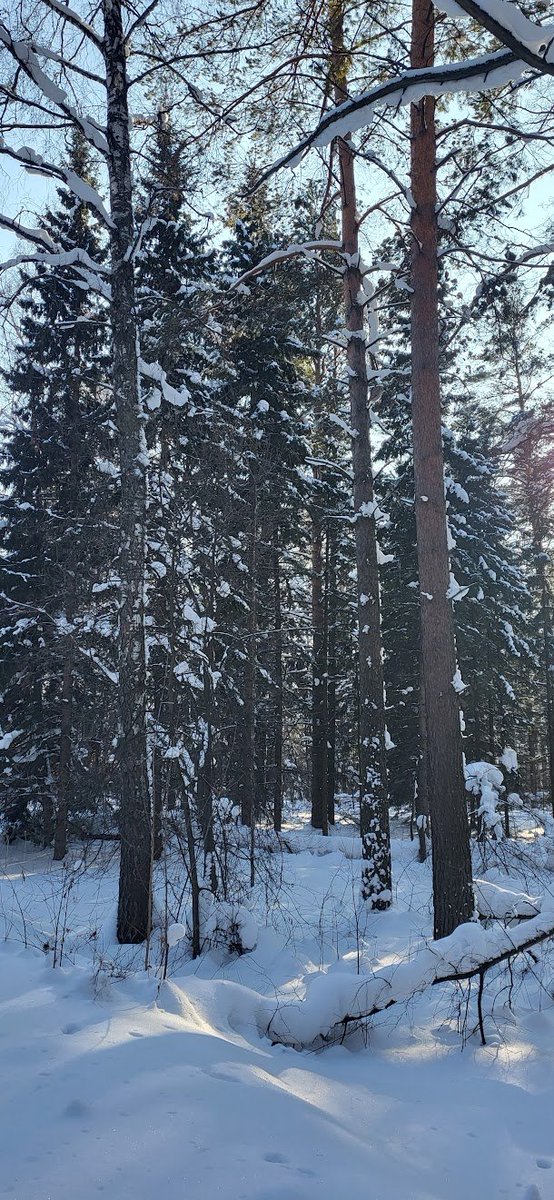 rudlorenz's tweet photo. сидит https://t.co/tFp5Grepqe