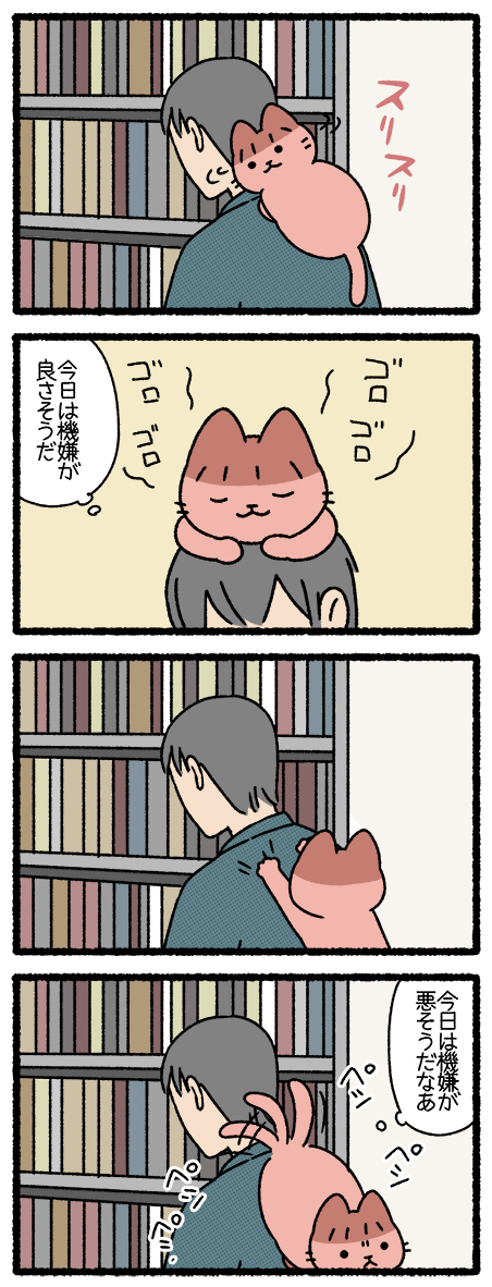 ねこようかい おばりよん #ねこようかい 