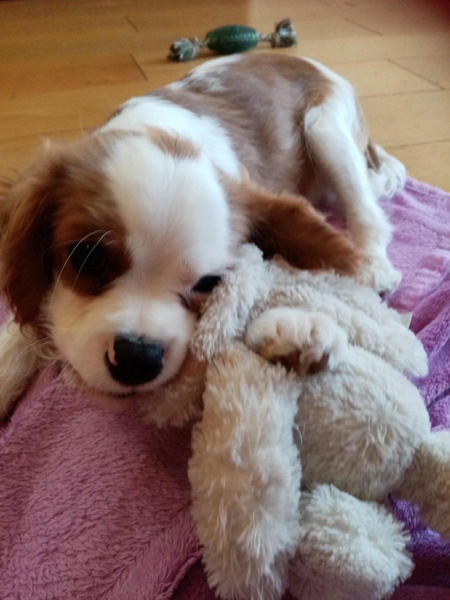 Jo Sunderland tweet media