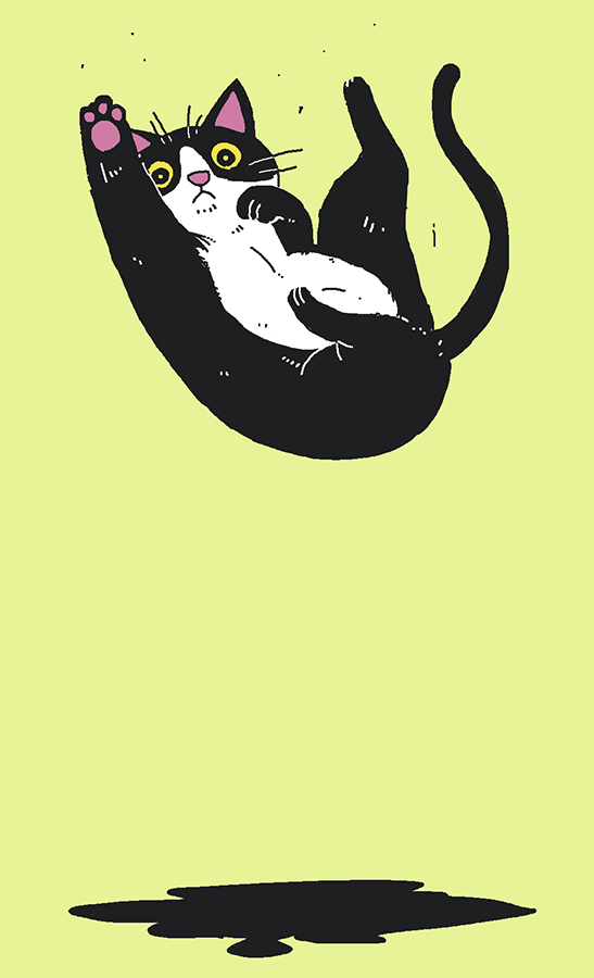 「よるけだま 」|大鳥のイラスト