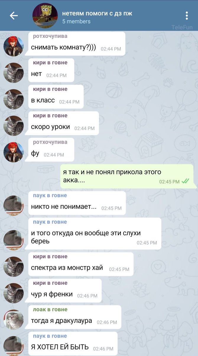 vilicatgirll's tweet photo. 140 https://t.co/XowtTQuC13