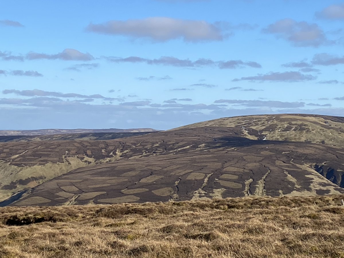 RewildScotland's tweet photo. Our uplands should be a rich mosaic of mixed habitats and there should be trees! Where are the trees? Deliberately limited biodiversity and nae trees, alpine flowers or montane scrub. #RewildThePlanet https://t.co/mbVTpoEJb6