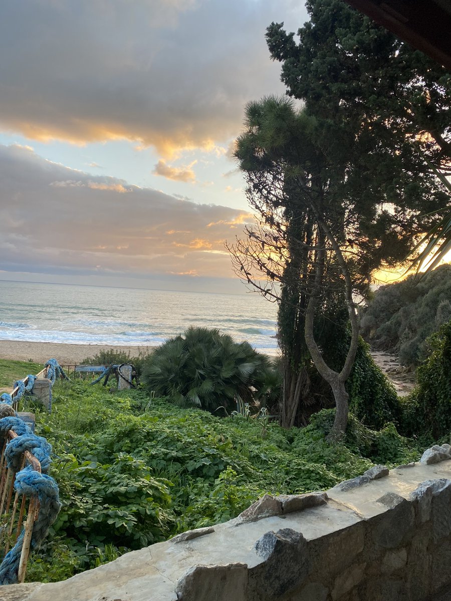 JimmyAll_13's tweet photo. 🌄 therapy 

#sunrise #Algerie https://t.co/pkWieyZqyp