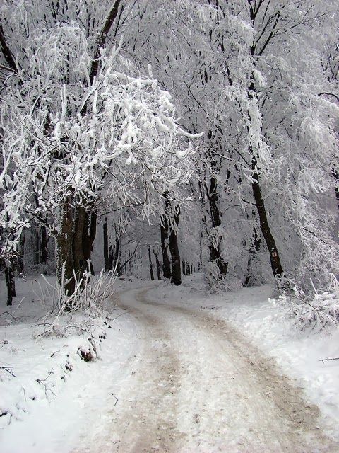 이소리 (@leebfoso02ri) on Twitter photo 