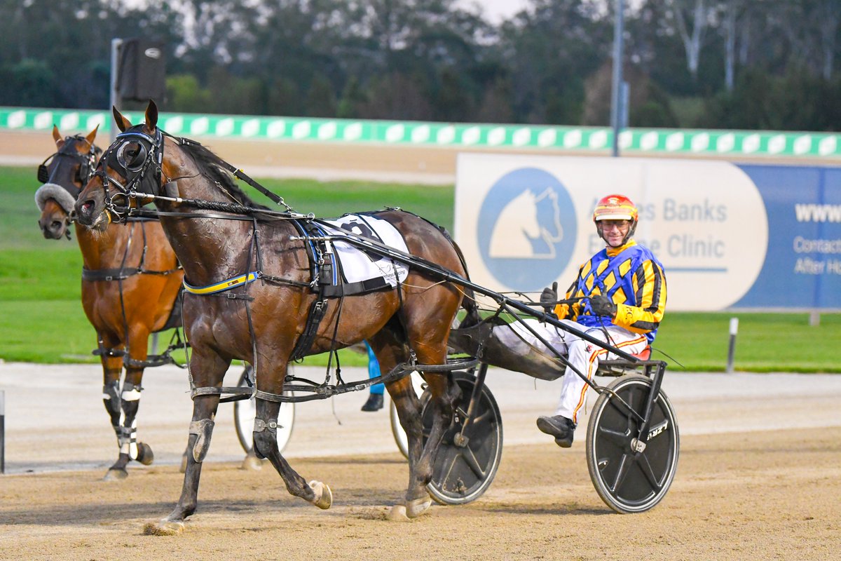 ClubMenangle's tweet photo. Heza Son Of Agun shoots to victory in the Group 3 Paleface Adios Stakes for @mattiecravenra1 in a mile rate of 1.50.7 and books his place in the Chariots of Fire!🥇🔥 

Also progressing through is Cantfindabettorman NZ, Invitation Only NZ, and Catch A Wave. 

#ClubMenangle https://t.co/PRbbzoiFCW