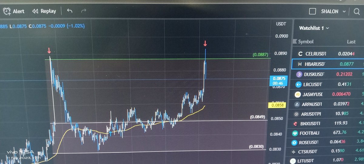 Grace Lev tweet media