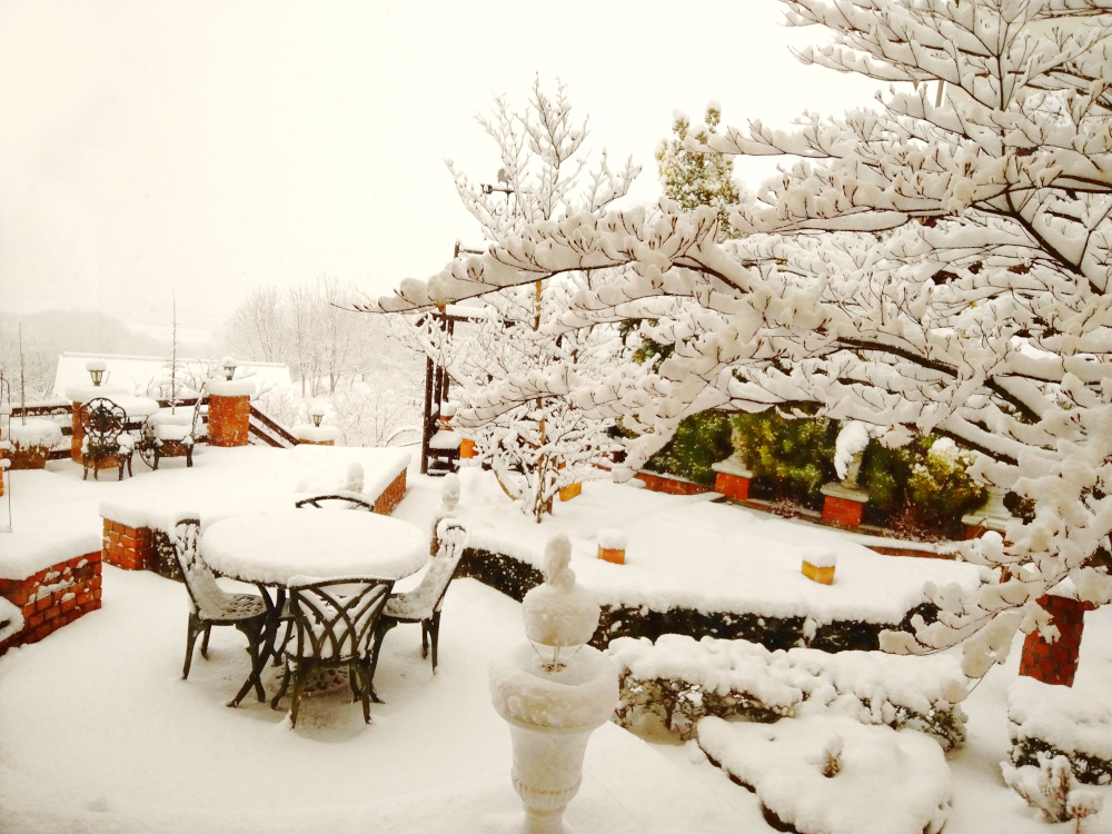iAt6XS8s9s4V1yU's tweet photo. 一瞬で白い世界に / In an instant, it's a white world.
#寒冷地
#白い世界
#洗礼
#white
#Spring
#coldclimates
#baptisms
#イングリッシュガーデン
#Englishgarden
#オープンガーデン
#Opengarden
#庭づくり
#庭のある暮らし
#garden
#lifestyle
#Mygarden
#Japan
https://t.co/SuBa18yNTw https://t.co/3ITgti4wro