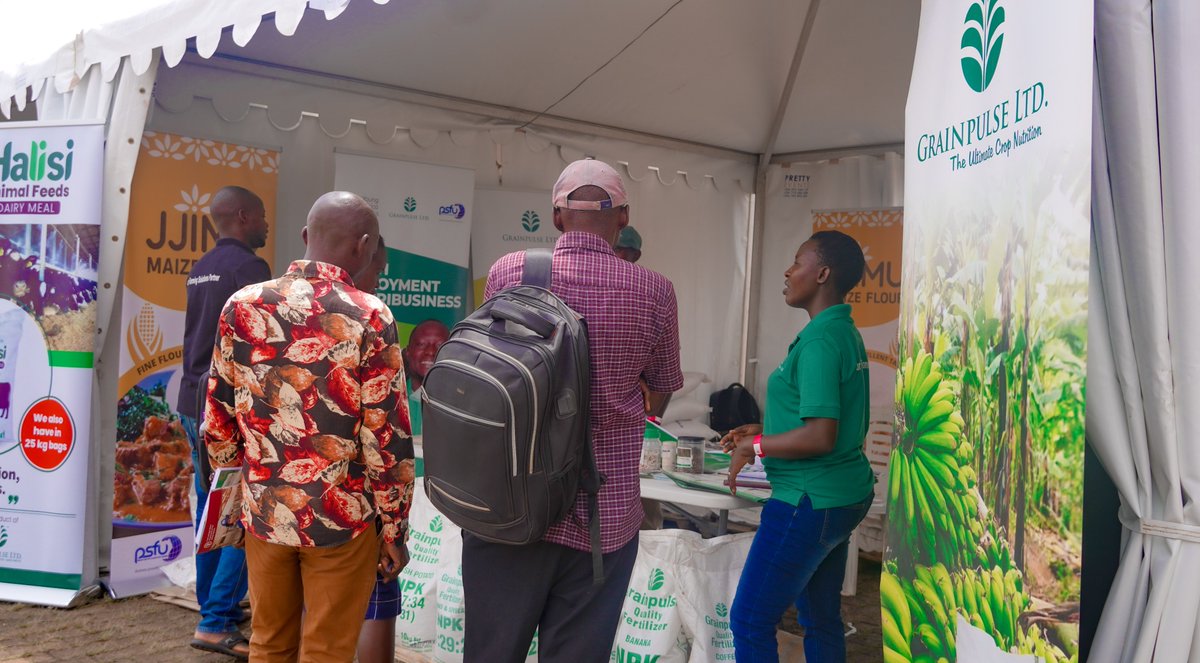 GrainpulseUG's tweet photo. Visit our tent at the #HarvestMoneyExpo today and have a chat with our agronomists, whatever questions you have, they will answer.
#Grainpulse #Fetrilizer #Halisi https://t.co/feTyD2je7p