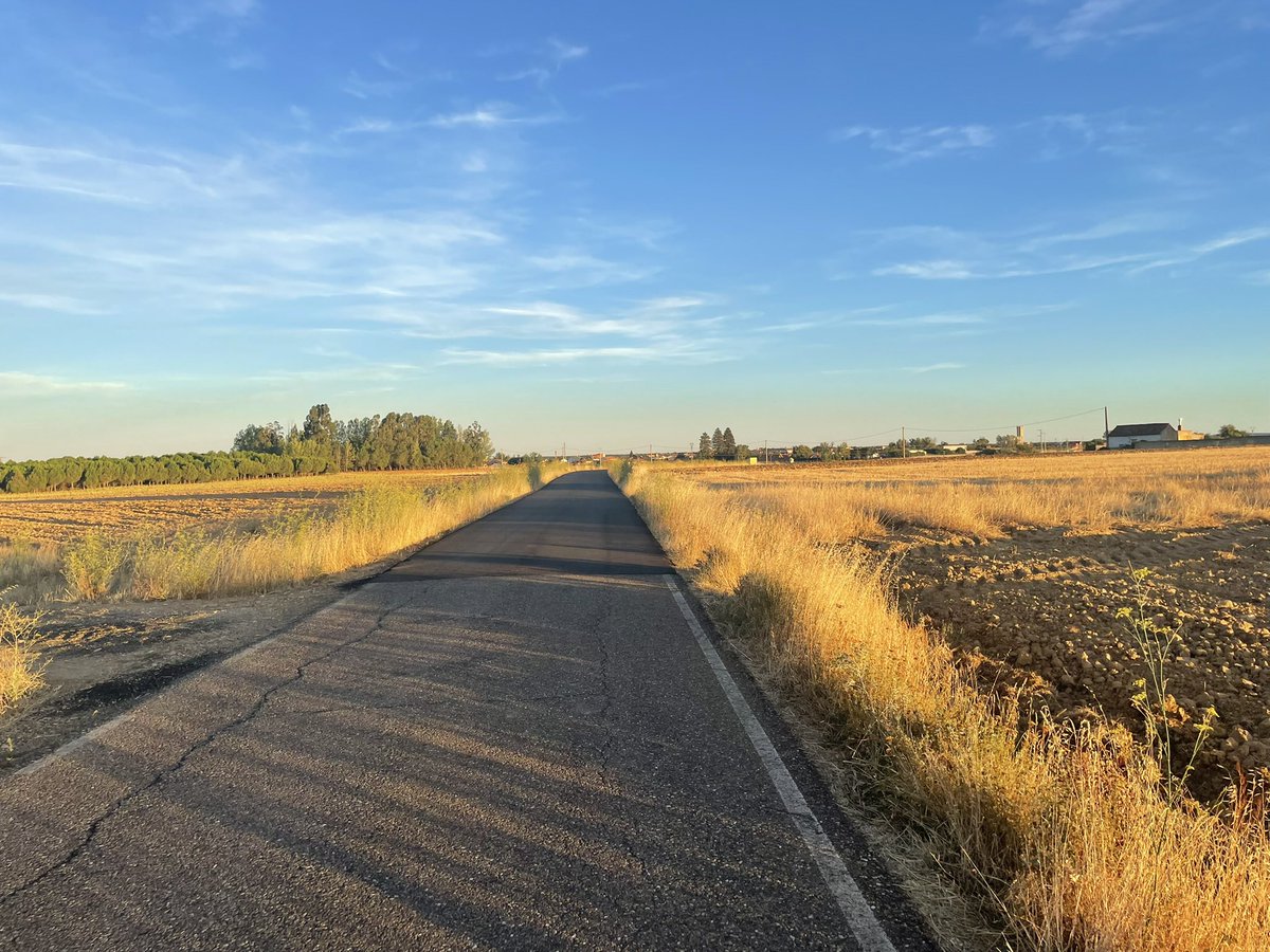 Sonipower's tweet photo. “¿Qué vendrá? ¿Qué vendrá?
Yo escribo mi camino Sin pensar, sin pensar, dónde acabará.

¿Qué vendrá? ¿Qué vendrá? Yo escribo mi camino. Si me pierdo,
es que ya me he encontrado y sé
que debo continuar.”

@Zaz_Official 

¿Me acompañas?🤗

https://t.co/jNE6nE6gWk https://t.co/pn3nvLxHAi