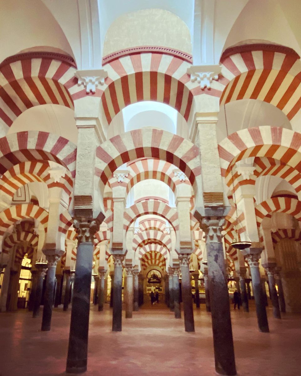 Amir Aly tweet media