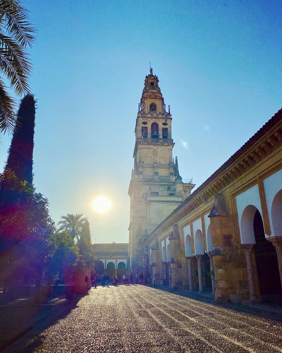 Amir Aly tweet media